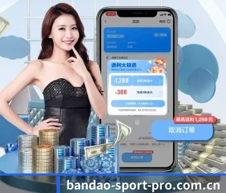 半岛体育 APP